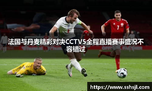 法国与丹麦精彩对决CCTV5全程直播赛事盛况不容错过